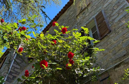 Ucciani Apartment | Housica & Co.