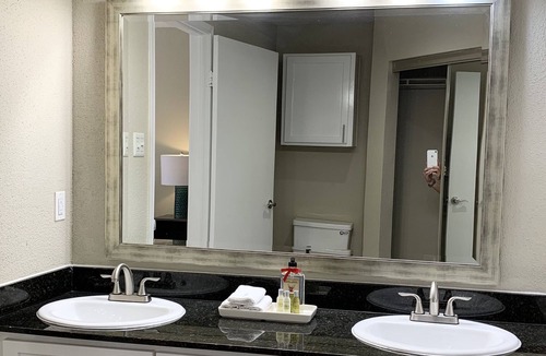 Astrodome Apartment | Houston Medical Center Sparkling condo