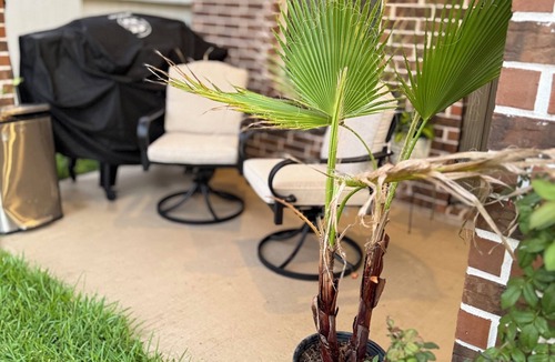 Rosenberg House | Houston sugar land Richmond family house