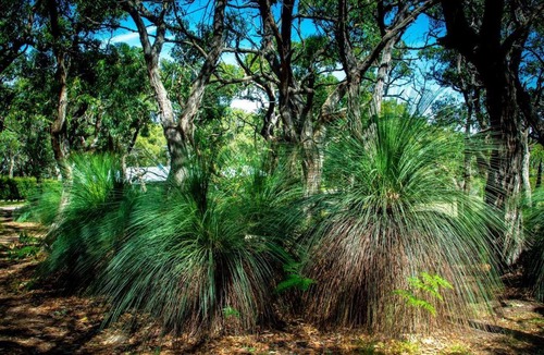 Boneo House | Howards Hill Retreat