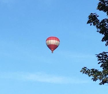 Devonport Apartment | Howzzat