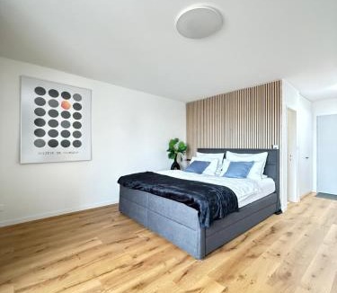 Rorschach Apartment | HRE Apartments Lago Rorschach