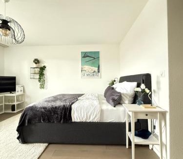 Rorschach Apartment | HRE Apartments Lago Rorschach