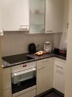 Mattenhof-Weissenbuhl Apartment | HSH Monbijou - Serviced Junior Suite with balcony Bern City