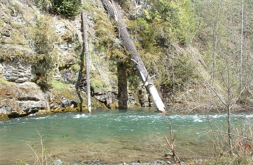 Greenwater Cabin | Huckleberry Cabin mountain retreat.
