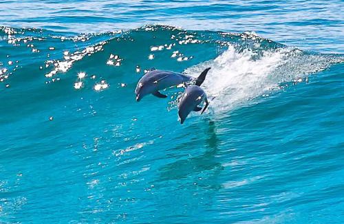 Blueys Beach House | Hueys Lookout Beachfront