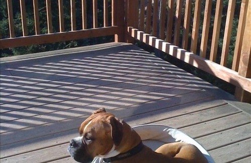 Pacific City House | Huge Ocean View with Semi-Private Beach Access