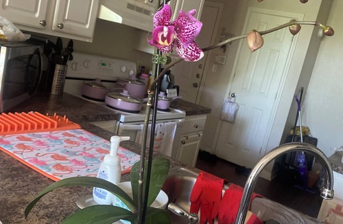 Central Business District Condo | Humble abode downtown