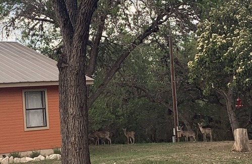 Concan House | Hummingbird Cabin, located down Riverroad close to local shops and restaurants!