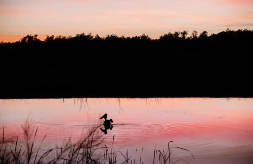 Pokolbin Ski Chalet | Hunter Habit Cottages