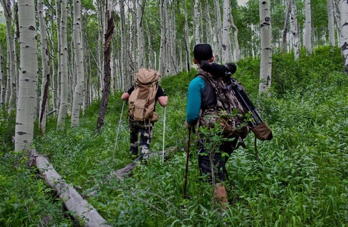 Hunter Condo | Hunter Mountain 2 Bedroom Condo Catskills