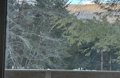 East Jewett Cabin | Hunter Mountain Ski Chalet