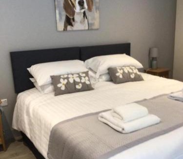 Newton Tracey Hotel | Hunters Lodge