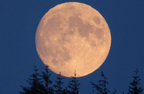 North Tidworth Apartment | Hunters Moon B&B