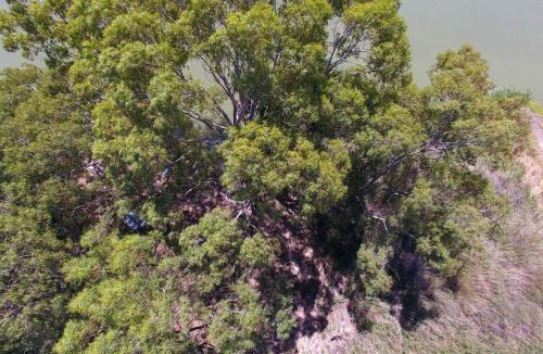 Younghusband House | Huntuby - 1908 East Front Road