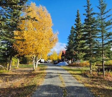 Kenny Lake Cabin | Huny Haus