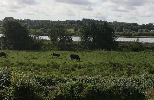 Brabrand Apartment | Hus med søudsigt