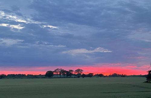 Ejby Apartment | Hus ved skov