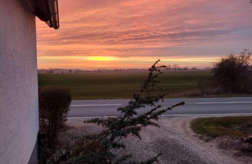 Ejby Apartment | Hus ved skov