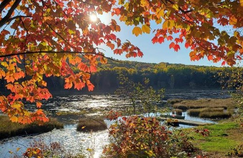 Purdy Bed & Breakfast | Hush Lodge and Cottages