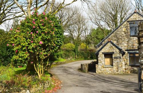 St Wenn Cabin | Hustyn Lodges