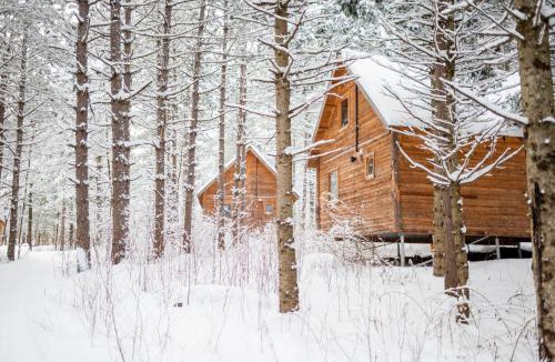 Albany Resort | Huttopia White Mountains