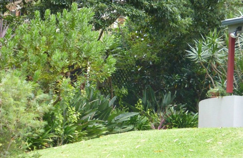 Hyams Beach House | Hyams Beach Hideaway, Hyams Beach