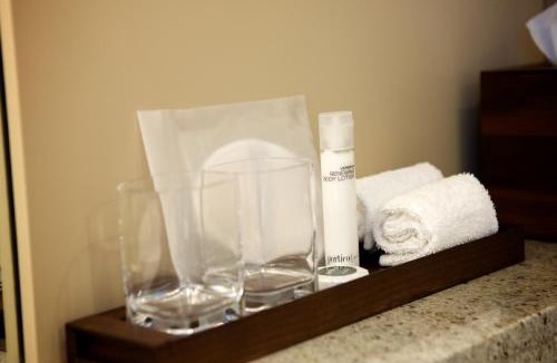 Convention Quarter Hotel | Hyatt Regency Birmingham