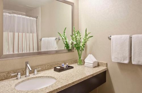 Rosemont Hotel | Hyatt Regency O'Hare Chicago