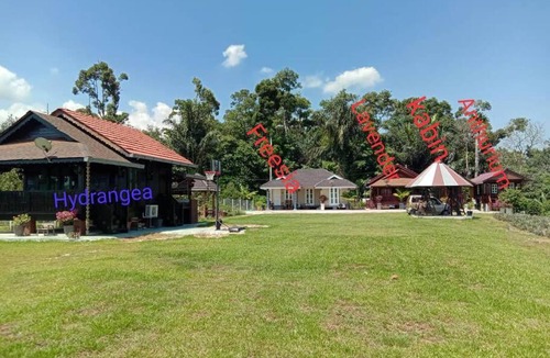 Kampung Kuala Dal House | HYDRANGEA 1 BEDROOM HOUSE