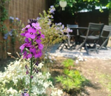 Saint-Laurent-Blangy Apartment | Hydrangea Cottage Arras