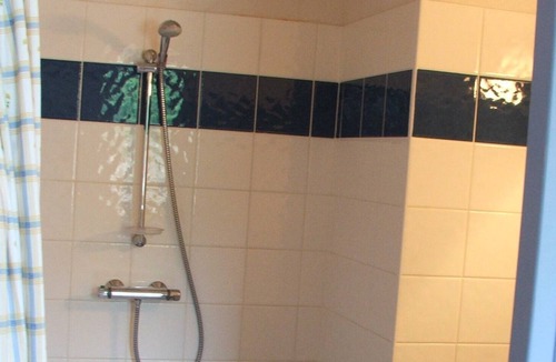 Pedernec House | Hydrangeas ------