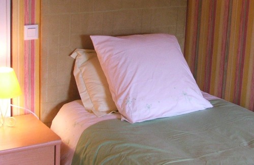 Pedernec House | Hydrangeas ------