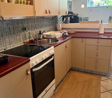 Silkeborg Apartment | Hyggelig lejlighed tæt på centrum
