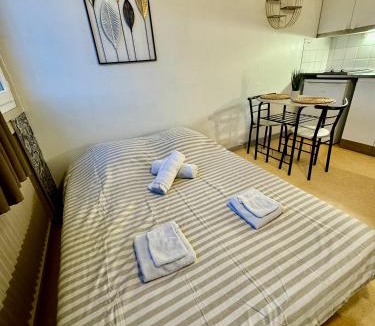 Faubourg Saint-Jacques Apartment | Hyper Centre de Valence - Studio 41