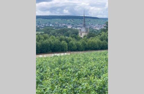 Ay Apartment | Hyper centre Maison le petit Bouchon