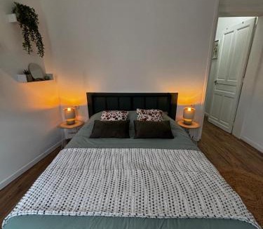 Bethune Apartment | Hypercentre Béthune - Vert & Zen - Free Parking