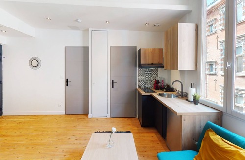 Saint-Georges Apartment | Hypercentre Toulouse 6 : Nice air-conditioned and fully-equipped apartment