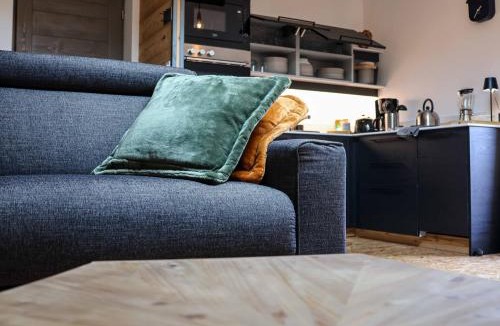 Araches-la-Frasse Apartment | Hysope 4 pers, design et confort-chiens acceptés