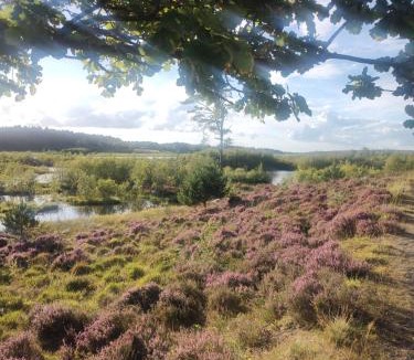 Silkeborg House | Hytten