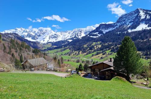 Nesslau-Krummenau Apartment | IB Säntis Chalet Chnorz Apartment