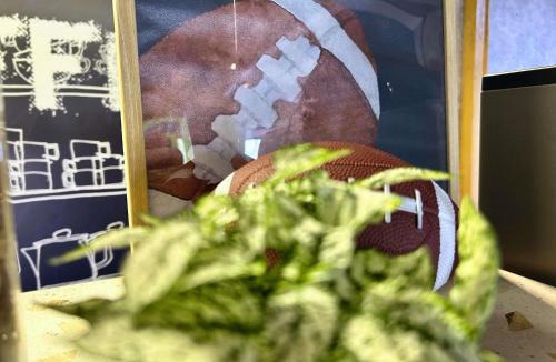 Beaune Hotel | ibis Budget Beaune