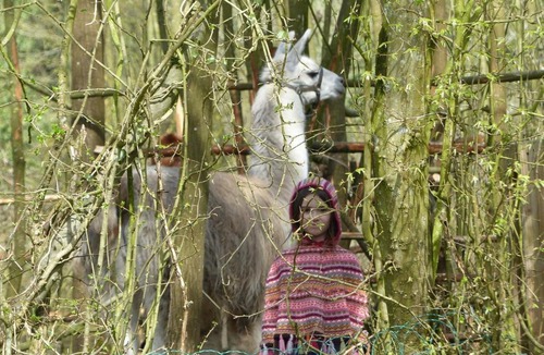 Canaples House | ici et la