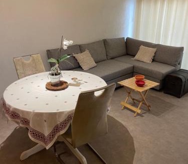 Gaillard Apartment | Idéal frontalier 15 min centre Geneve