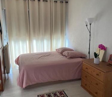 Gaillard Apartment | Idéal frontalier 15 min centre Geneve