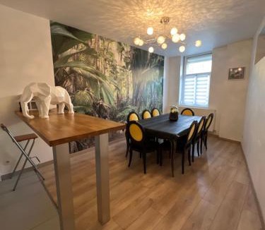 Valenciennes Apartment | Idéal groupe tarif long séjour maison 4chambres 8lits 2salles de bain 3wc terrasse stationnement gratuit