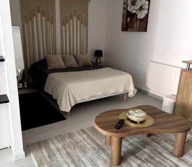 Rouvroy Apartment | Ideal 50 m2 terrace, free parking