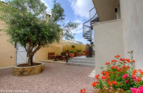 Cargese Apartment | Ideal location Cargese 3