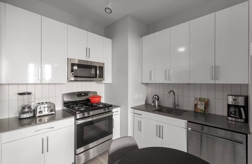 The Loop Apartment | Ideal Loop 1BR w/Gym, Roofdeck, W/D, nr West Loop & the , by Blueground