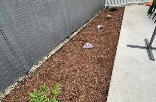 Celles-sur-Plaine Apartment | Ideally located on the greenway